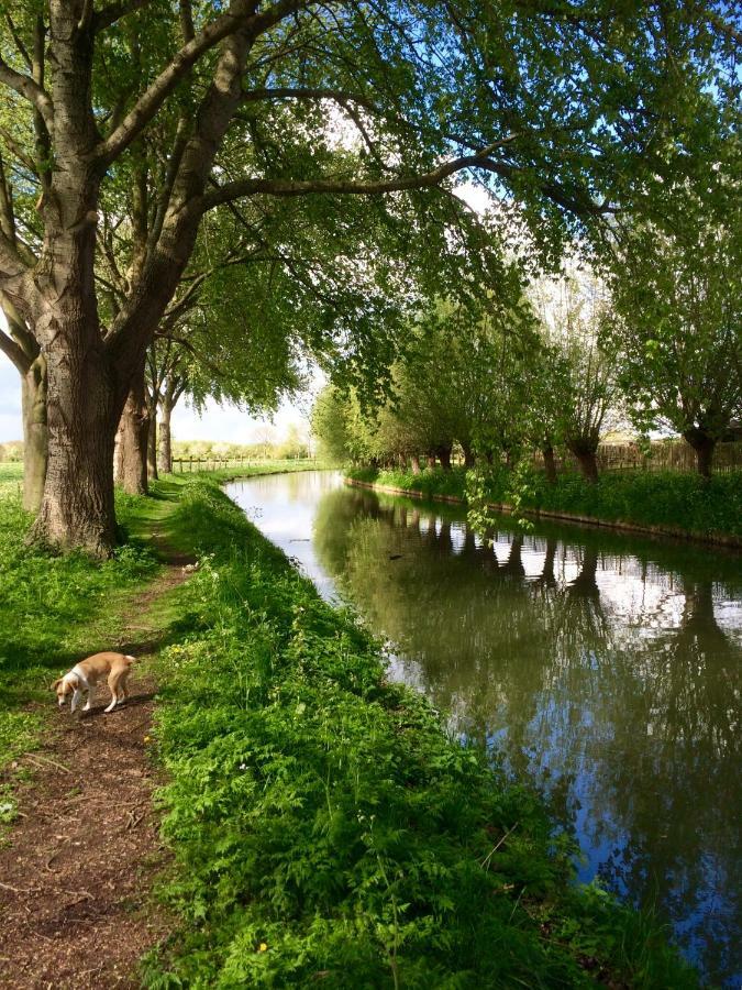 Boerengastenverblijf De Kromme Rijn Cothen Exterior foto